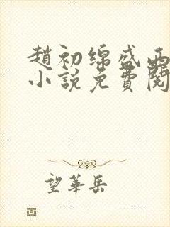 赵初绵盛西舫的小说免费阅读