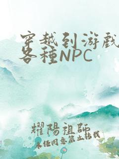 穿越到游戏里和各种NPC