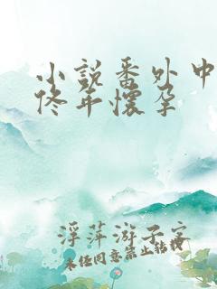 小说番外中结局佟年怀孕