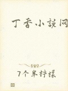 丁香小说网