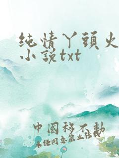 纯情丫头火辣辣小说txt