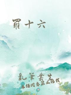 罗十六