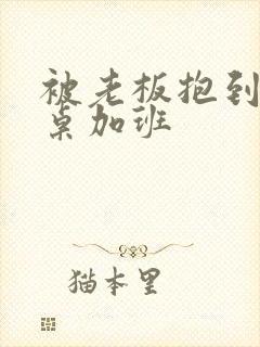 被老板抱到办公桌加班