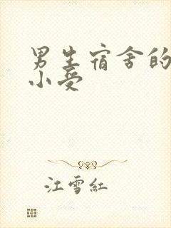 男生宿舍的公共小受