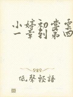 小婷初尝云雨第一章到第四章