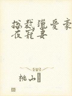 总裁猎爱豪门一夜宠妻