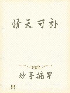 情天可补
