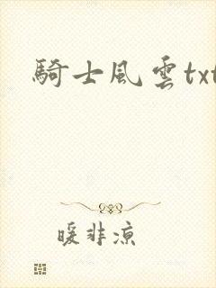 骑士风云txt