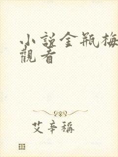 小说金瓶梅在线观看