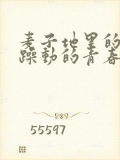 麦子地里的故事躁动的青春小说