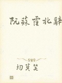 阮苏霍北辞小说