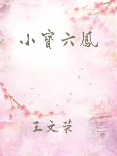 小宝六凤
