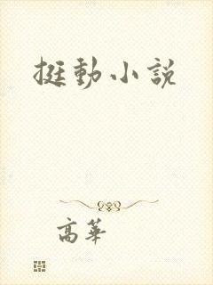 挺动小说
