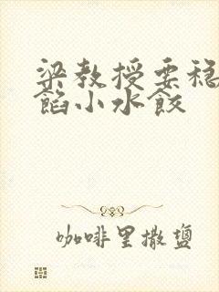 梁教授要稳住肉馅小水饺