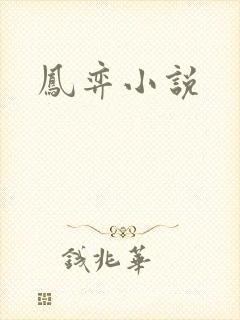 凤弈小说