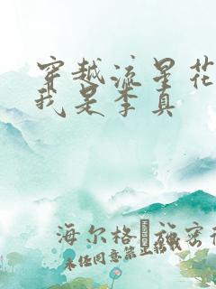 穿越流星花园之我是李真