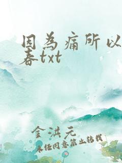 因为痛所以叫青春txt