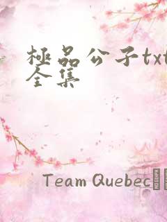 极品公子txt全集