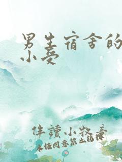 男生宿舍的公共小受