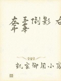 左手倒影 右手年华