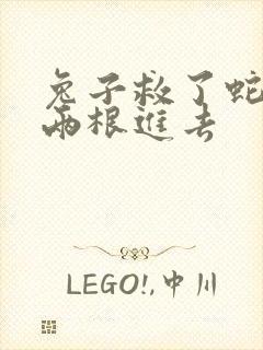 兔子救了蛇被蛇两根进去