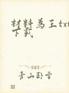 材料为王txt下载