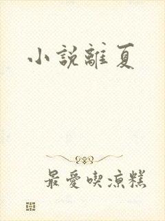 小说离夏