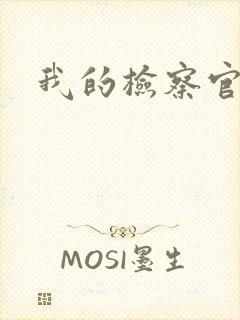 我的检察官先生