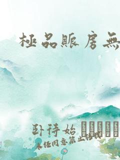 极品账房无弹窗