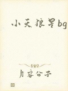 小天狼星bg