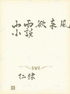 山雨欲来风满楼小说