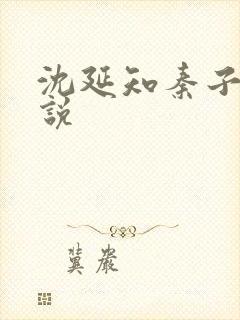 沈延知秦子卿小说