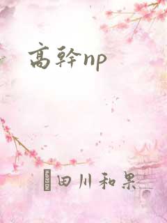 高干np