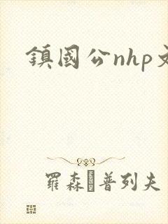 镇国公nhp文