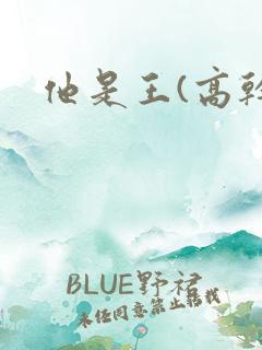 他是王(高干)