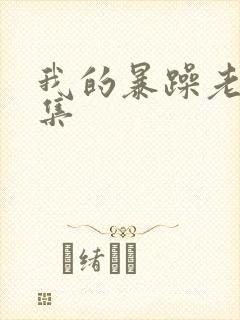 我的暴躁老妈全集