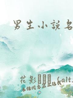 男生小说名字