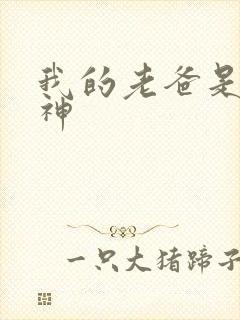 我的老爸是创世神