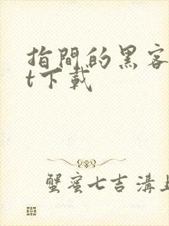 指间的黑客txt下载