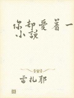 你却爱着一个他 小说