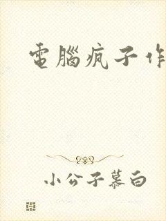 电脑疯子作品