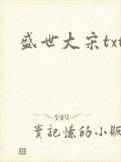 盛世大宋txt