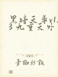 黑暗天尊v1.3 九重天外