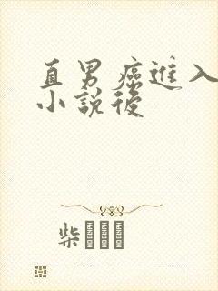 直男癌进入言情小说后