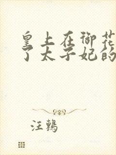 皇上在御花园c了太子妃的网剧