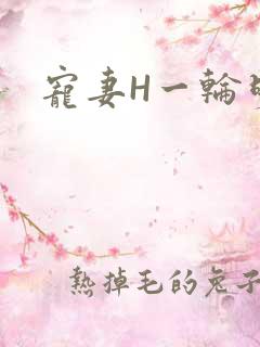 宠妻H一轮明月