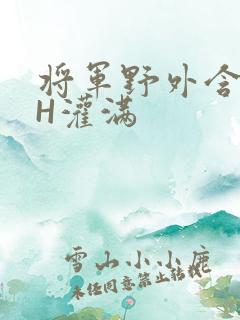 将军野外含公主H灌满