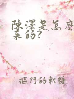 陈泽是怎么火起来的?