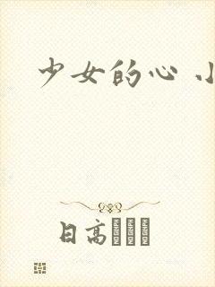 少女的心 小说