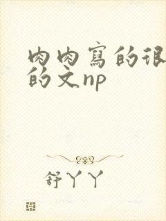 肉肉写的很细致的文np
